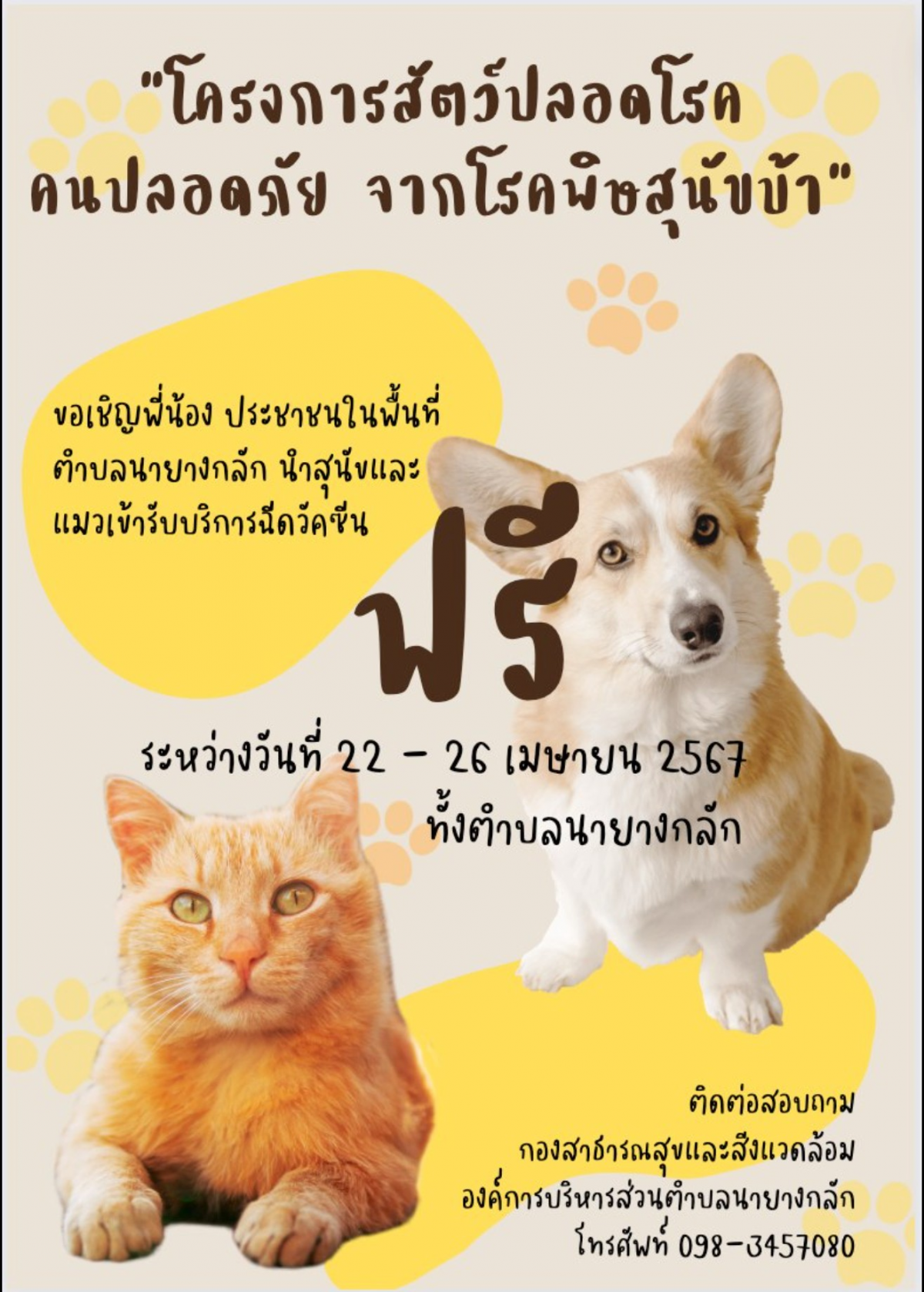 โครงการสัตว์ปลอดโรคคนปลอดภัยจากพิษสุนัขบ้า กองสาธารณะสุขและสิ่งแวดล้อม อบต.นายางกลัก