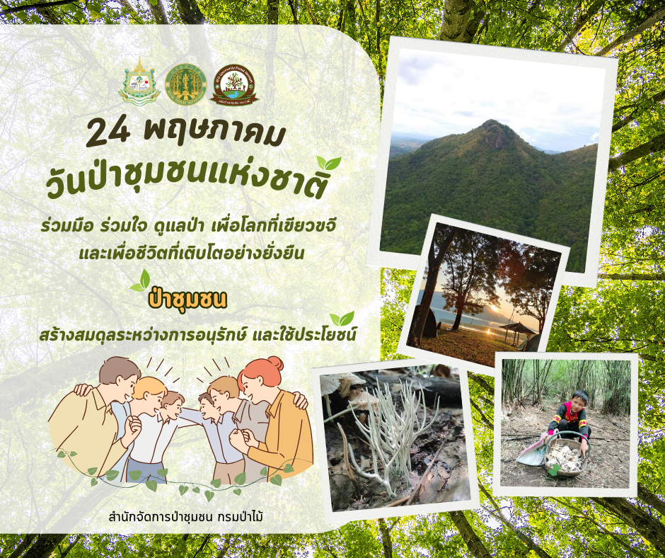ประชาสัมพันธ์วันป่าชุมชนแห่งชาติ